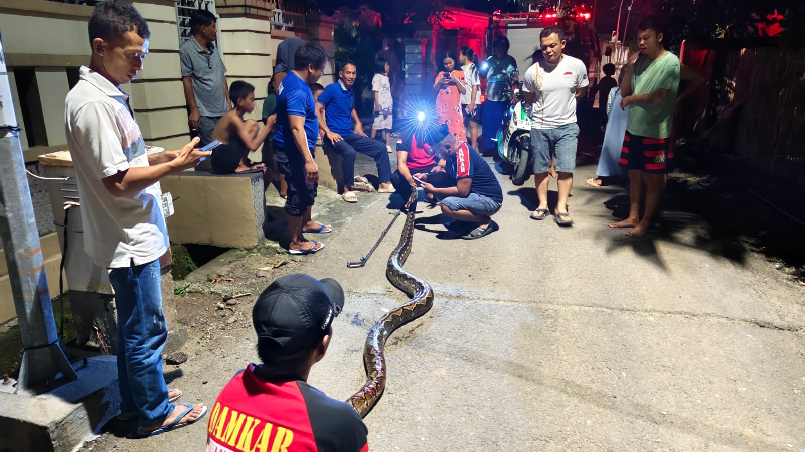 Geger Ular Piton 5 Meter Masuk Rumah di Bantaeng, Sempat Mangsa Ternak Warga