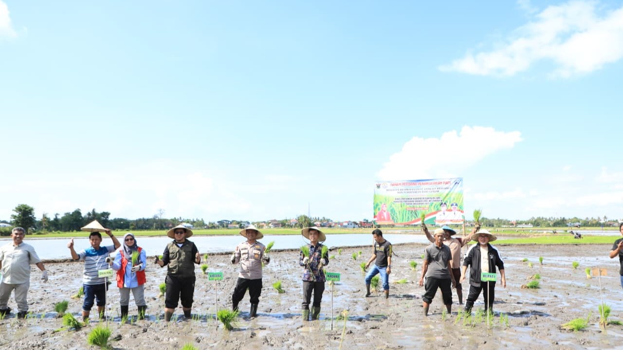 Pemkab Bantaeng Gandeng Faperta Unhas Kembangkan Padi Genjah Unggul